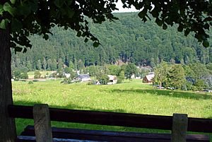 Holzhau bei Rechenberg-Bienenmühle