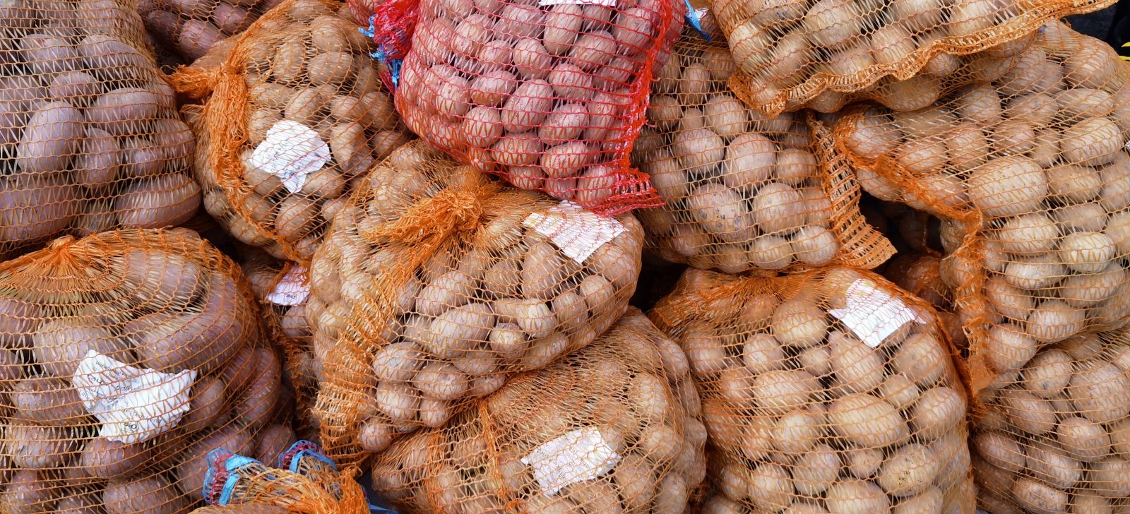 Kartoffeln zum Mildenauer Kartoffelfest