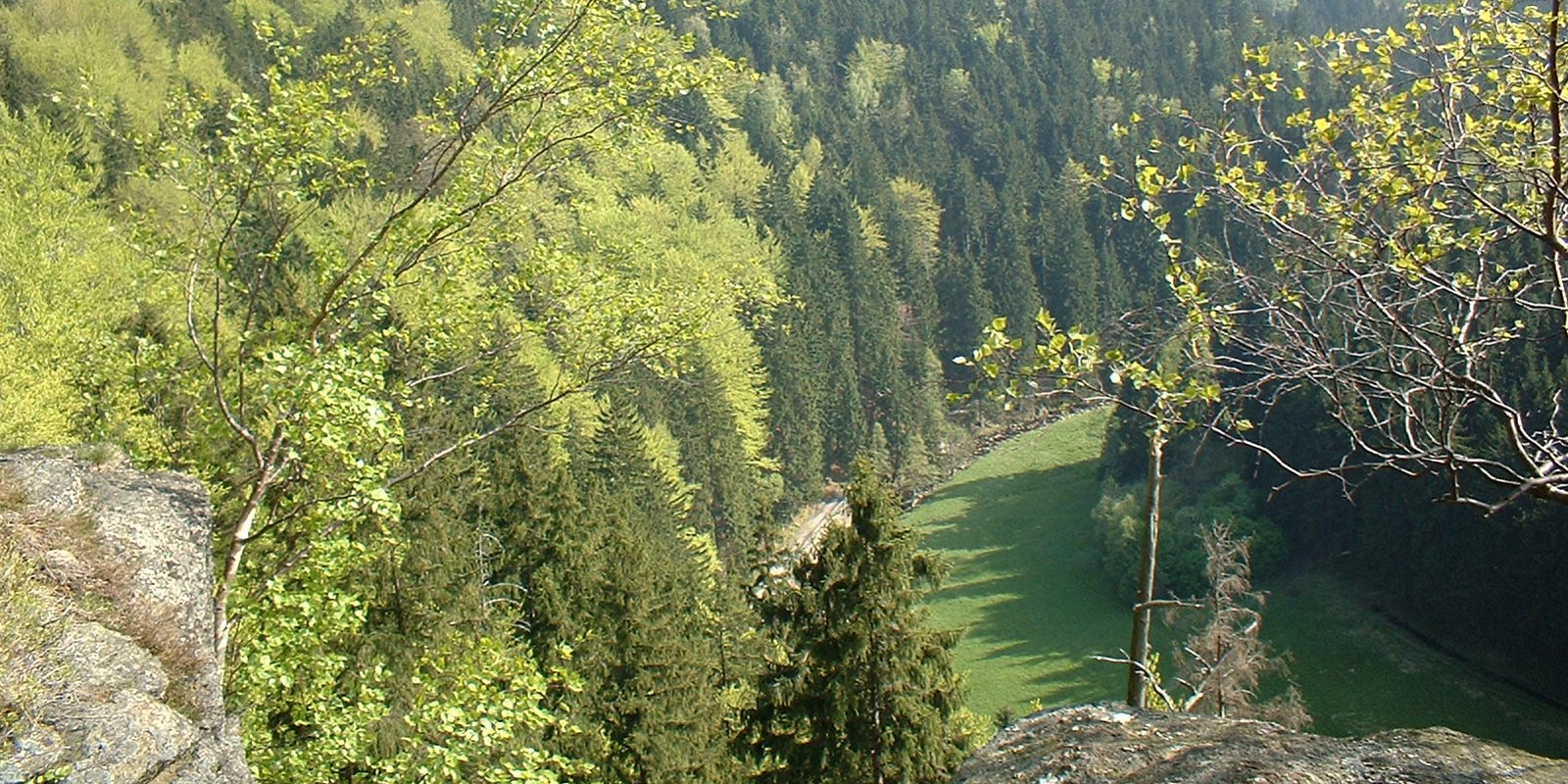 Vogeltoffelfelsen 