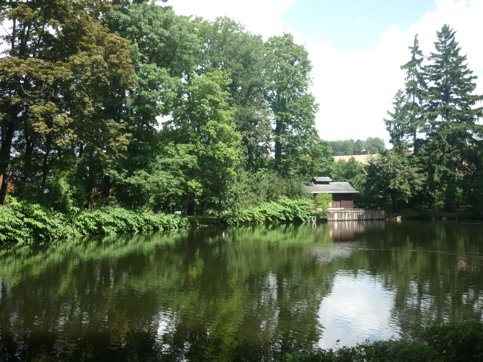 Schlossteich im Park von Schloss Schlettau