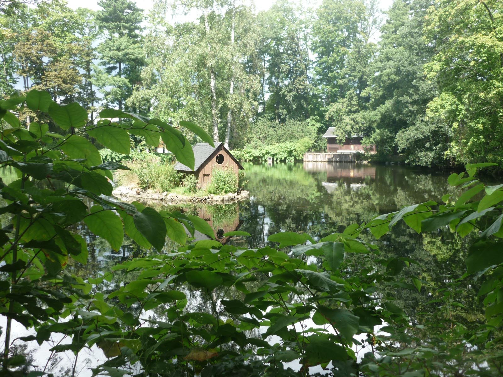 Schlosspark mit Teich Schloss Schlettau