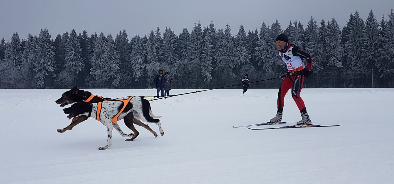 Schlittenhunderennen in Seiffen - 2er Hundegespann Schlittenhunderennen in Seiffen - 2er Hundegespann