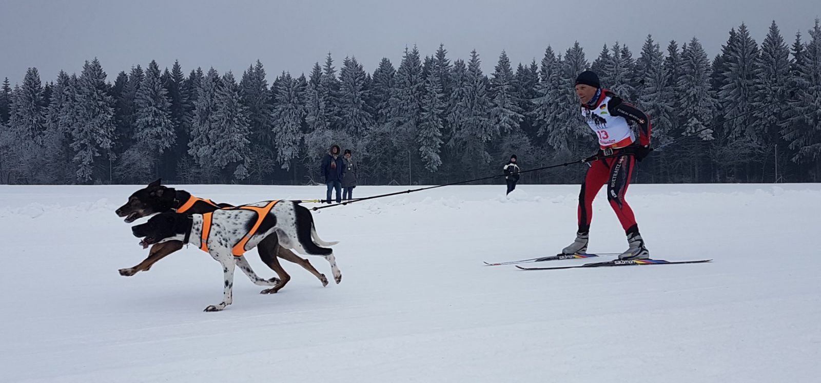 Schlittenhunderennen in Seiffen - 2er Hundegespann