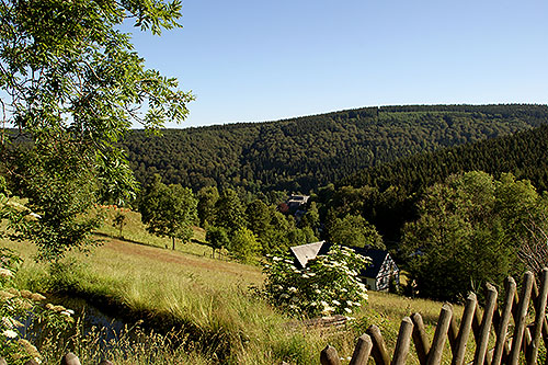 Holzhau