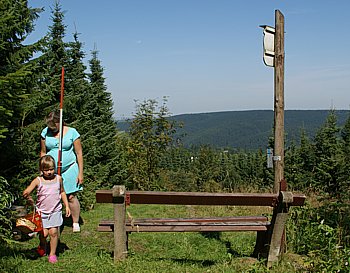 Steinkuppe bei Holzhau