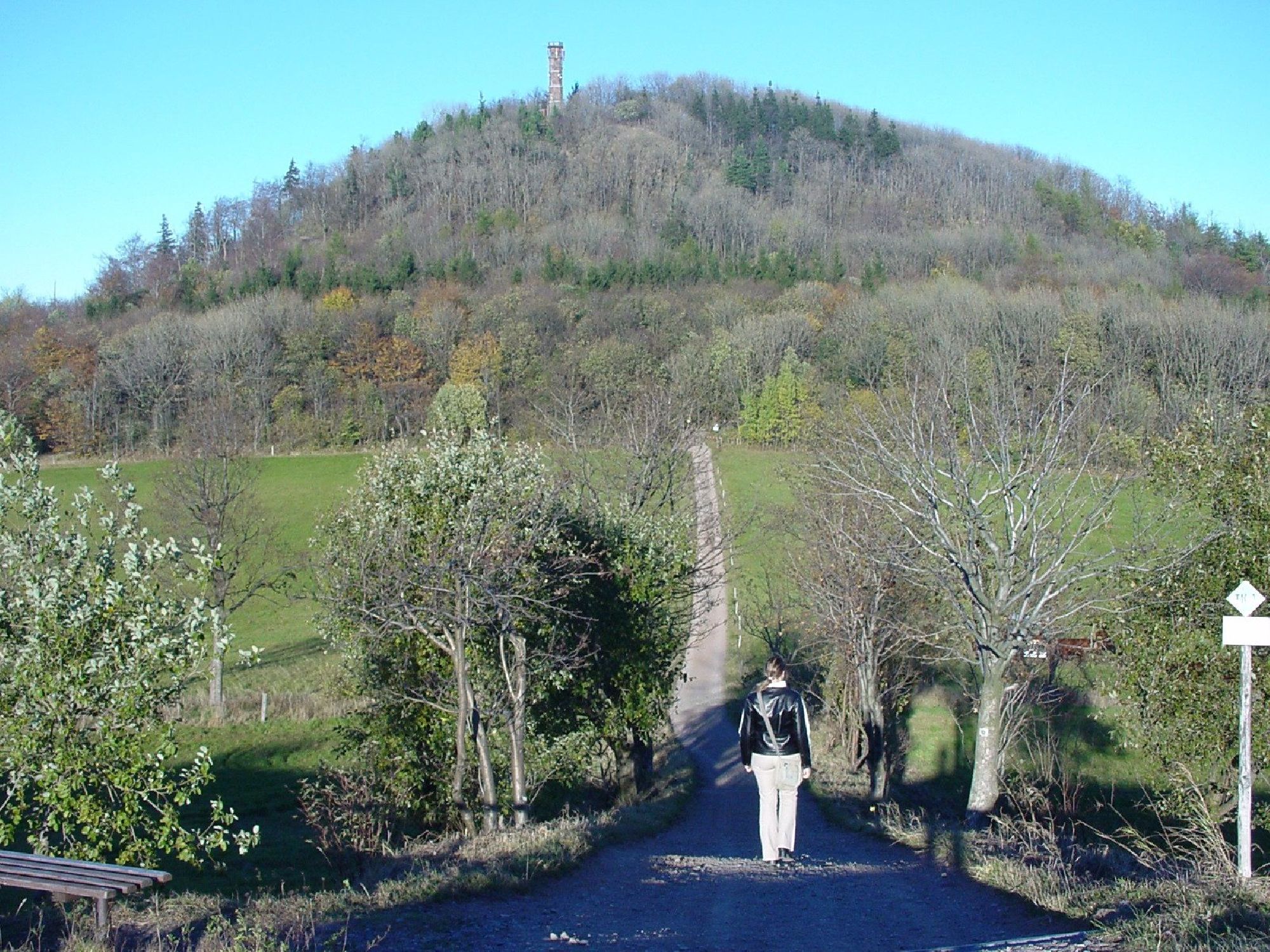 Der Weg zum Geisingberg