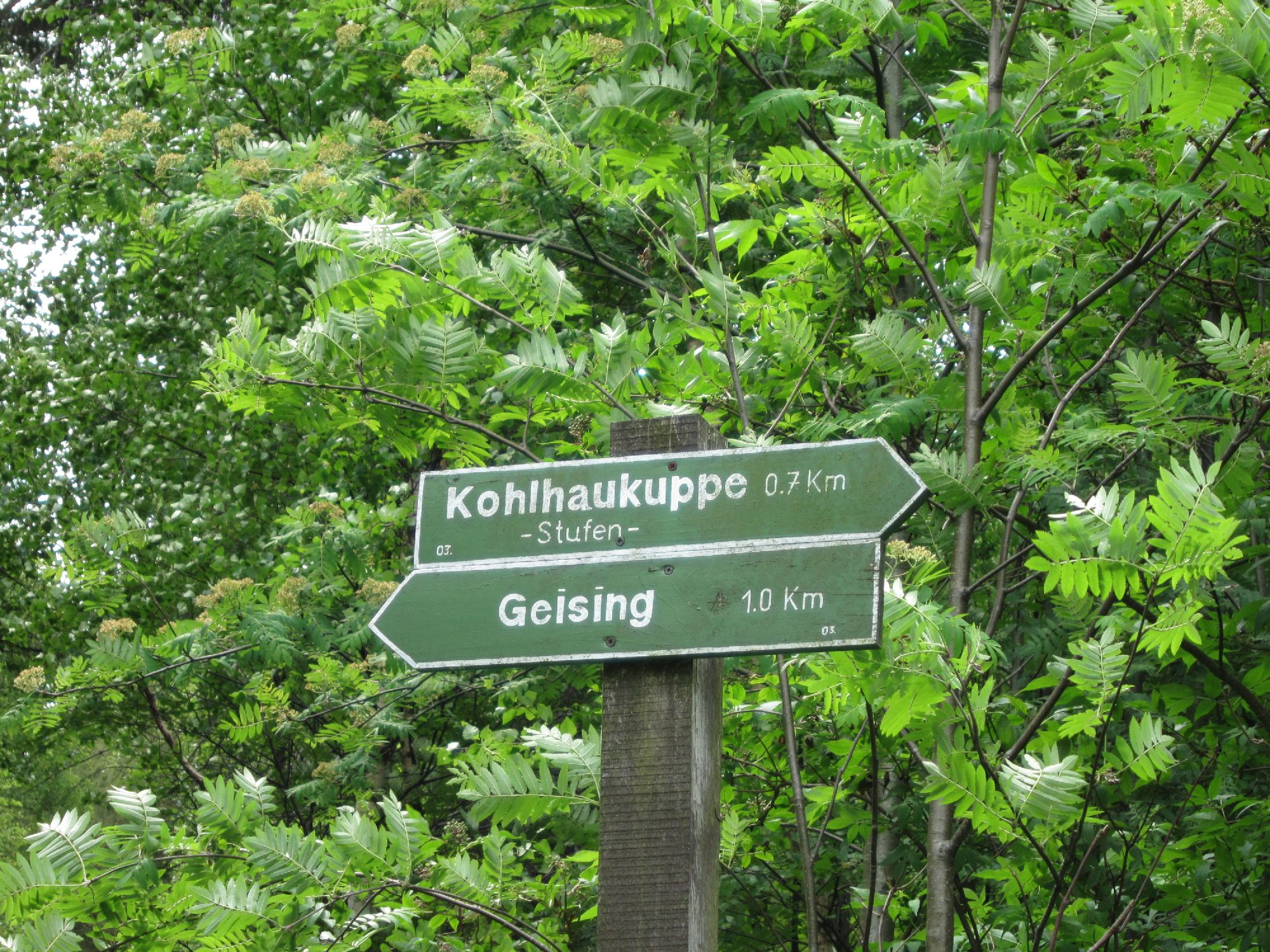 Wegweiser Kohlaukuppe/Geising