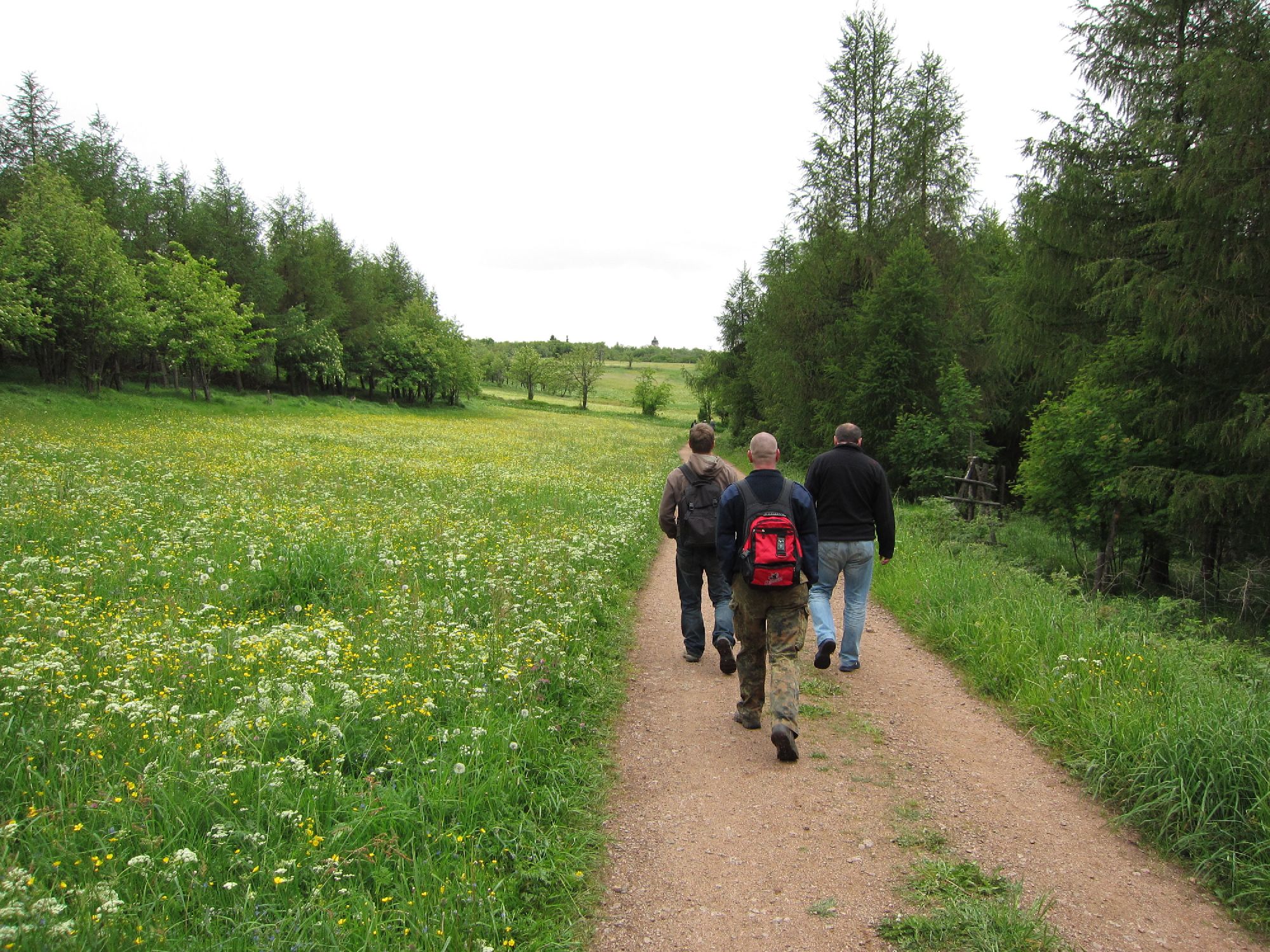 Rückweg Drei-Berge-Wanderung