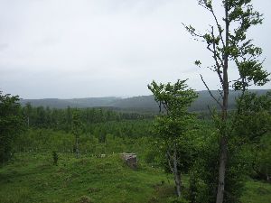 Ausblick vom Beerhübel