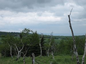 Aussicht auf Böhmen zum Männertag
