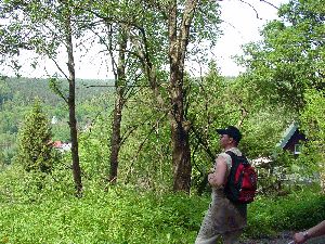 Wanderung zur Talsperre Rauschenbach