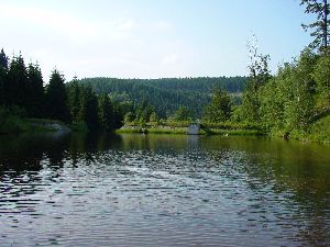Teich im Töltzschbachtal
