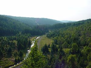 Blick über das Töltzschbachtal