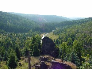 Töltzschbachtal mit Felsen