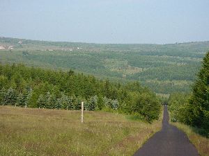 Rund ums Töltzschbachtal