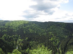 Blick ins Natzschungtal zu Männertag