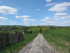 Blick nach Rübenau von Kallich