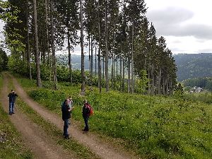 Blick ins FlÃ¶hatal