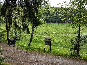 BÃ¤renbachtalweg mit Blick auf Ornamentpflanzung