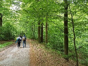 Wanderung auf dem BÃ¤renbachtalweg