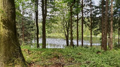 Ullersdorfer Teich