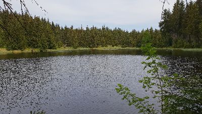Ullersdorfer Teich zur MÃ¤nnertagswanderung