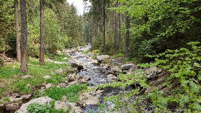 Schwarzwassertal - Schwarze Pockau