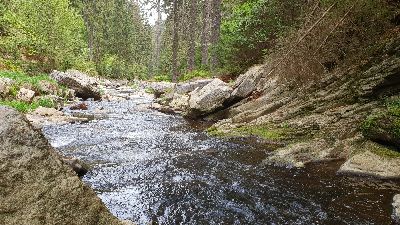Fluss Schwarze Pockau