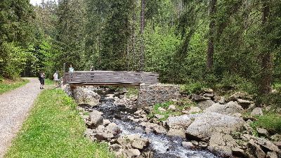HolzbrÃ¼cke im Schwarzwassertal