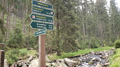 Wegweiser im Schwarzwassertal