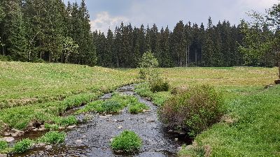 Schwarzwassertal in KÃ¼hnhaide