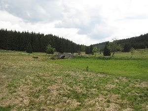 Steinerne BrÃ¼cke im Schwarzwassertal