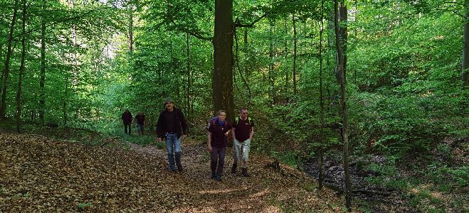vom Katzenstein zum ProÃweg - Aufstieg