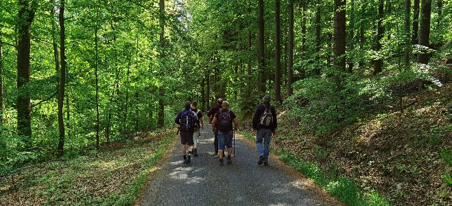 auf dem Brettellenweg nach Holzhau