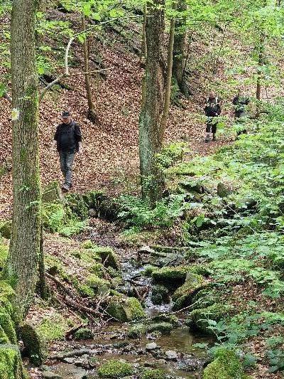 an der Königsbach in der Wolkensteiner Schweiz
